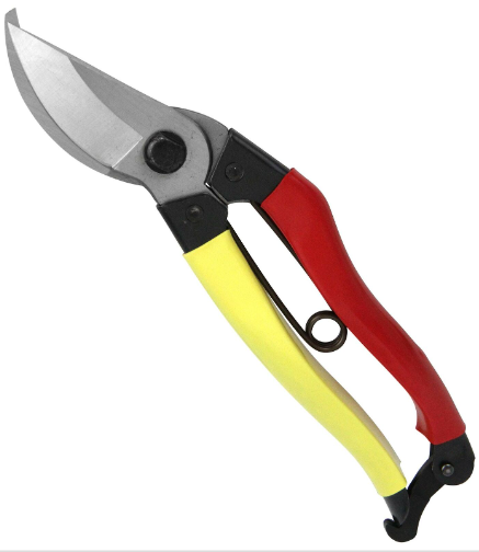 [UK Dispatch] Senkichi scissors left handed secateurs with 200mm fixed clip