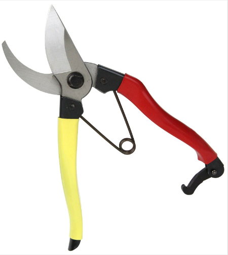 [UK Dispatch] Senkichi scissors left handed secateurs with 200mm fixed clip