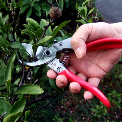 ARS ARS-VS-8XZ 8-inch Secateurs with Single Hand Locking Secateurs with Single Hand Locking